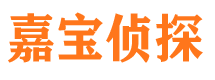 田家庵外遇调查取证